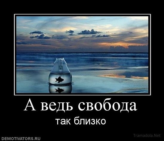 http://cs5138.vkontakte.ru/u10162735/127439870/x_d686a49b.jpg
